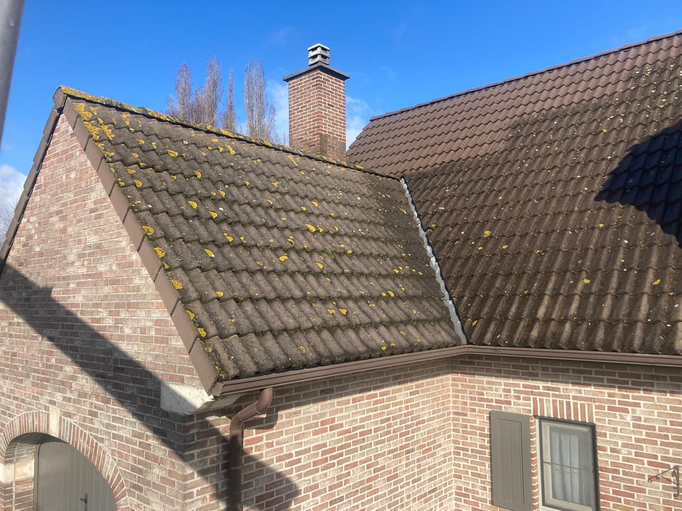 Detail van dakpannen met mos, deels gereinigd