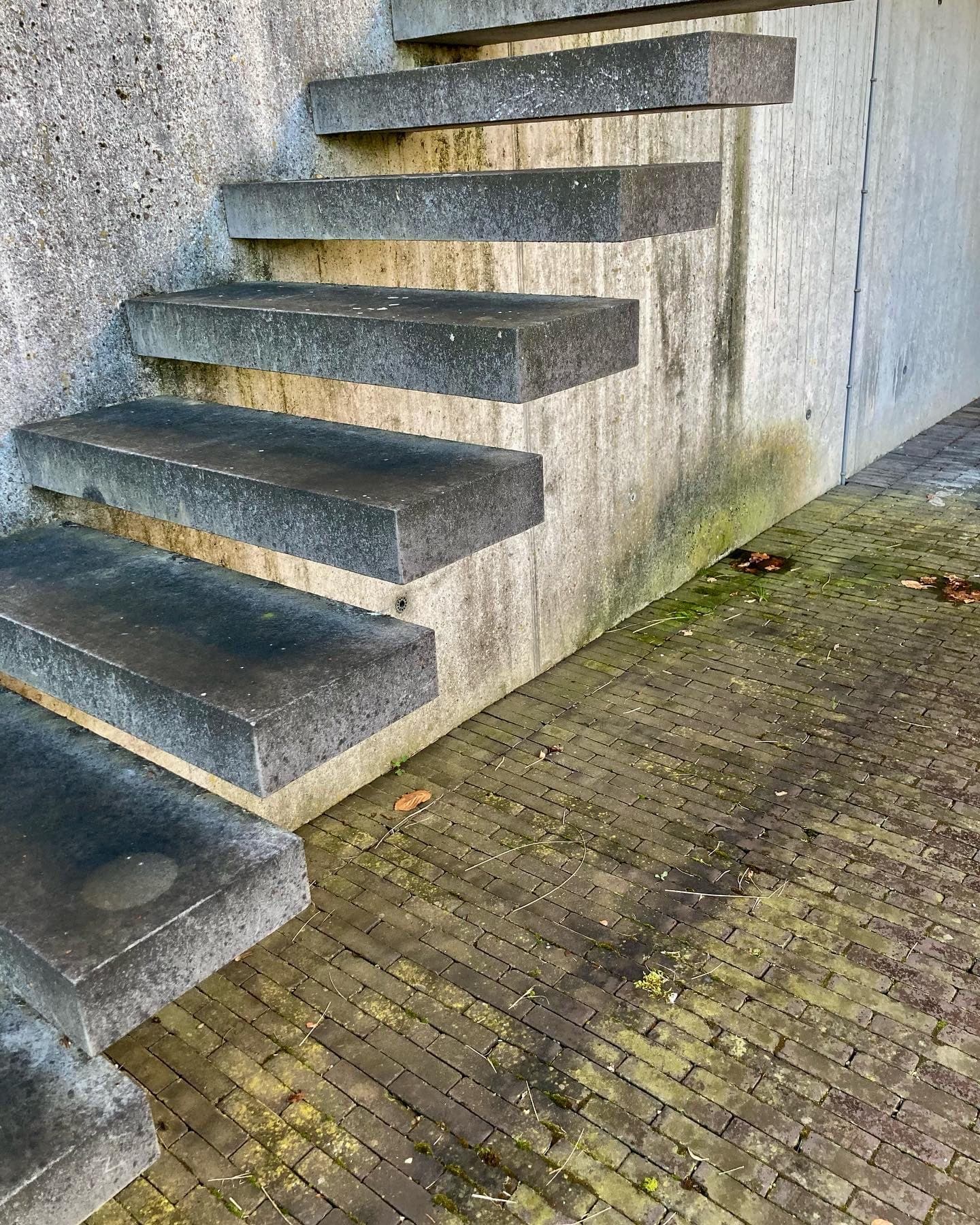 Betonnen buitentrap met algen op de muur en groene aanslag op de klinkers