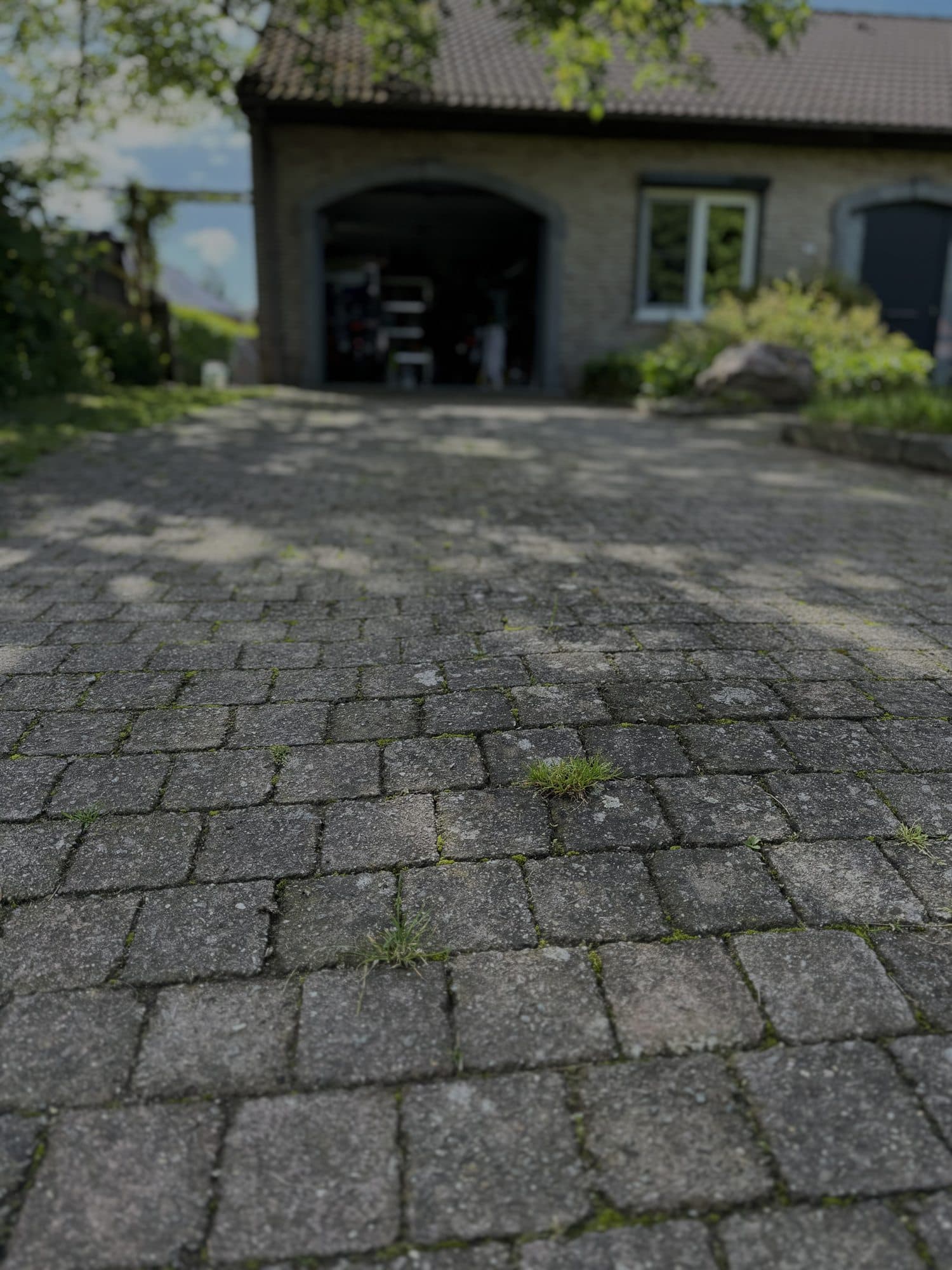 Oprit in klinkers met groene aanslag en onkruid tussen de voegen